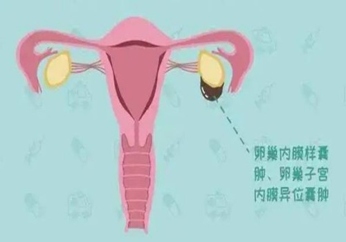 受孕胚胎着床10天体温上升0.5度，预示着好孕的到来！