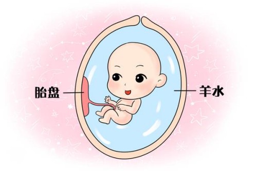 徐州试管婴儿价格：可以免费生子吗,费用大概是多少